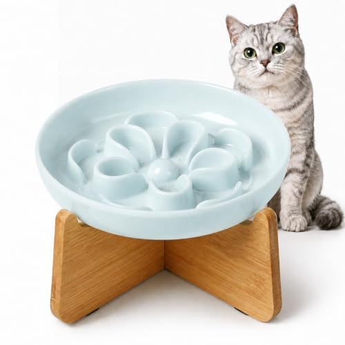 Gamelle Anti Glouton Chat Surélevée - Gamelle Mélamine avec Support en Bambou Antidérapant - Bol Chat pour Alimentation Lente - Motif Labyrinthe Floral - Bleu