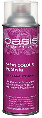 Spray Paint by Oasis 400 ml Cans Fresh Flowers & Crafts Florist - 42 Colours (Fuchsia)