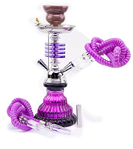 chicha 11 Pouces Fait Main Verre a Chicha L'eau Ensemble de Narguilé avec 2 Tuyaux Mini Narguilé Vase en Verre Fête de Fumer