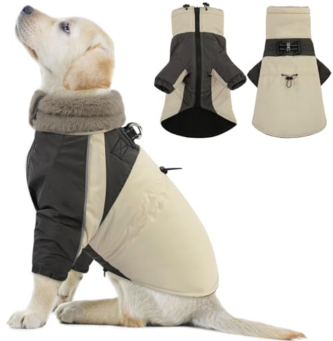 CITÉTOILE Hundemantel Winter, Wasserdicht & Winddicht Mit Geschirr für Kleine, Mittlere und Große Hunde, Reflektierende Hundejacke Mit Bauchschutz