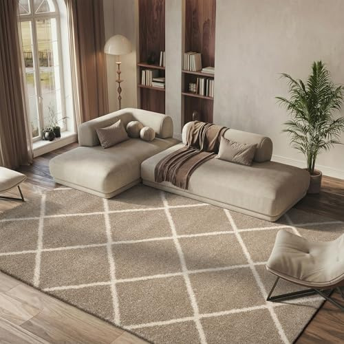 SAFAVIEH Hudson Shag Collection Area Rug - 6' x 9', Beige & Ivory, Modern Trellis Design, Non-Shedding & Easy Care, 2-inch Thick Ideal for High Traffic Areas in Living Room, Bedroom (SGH281S)
