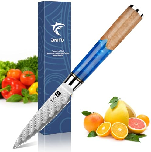 Dnifo Classic Paring Knife 3.5 Inch, Japanese VG10 Steel Damascus Fruit Knife, Sharp Small Kitchen Knife with Gift Box and Resin Wood Handle,Ideal Birthday Gift for Men and Women
