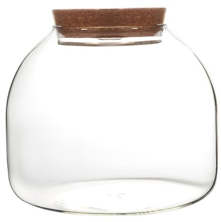 Terrarium en verre pour plantes, terrarium pour plantes de 1600 ml avec couvercle en liège, grand pot de terrarium à ouverture pour mini plantes succulentes, construction de paysage, présentations flo