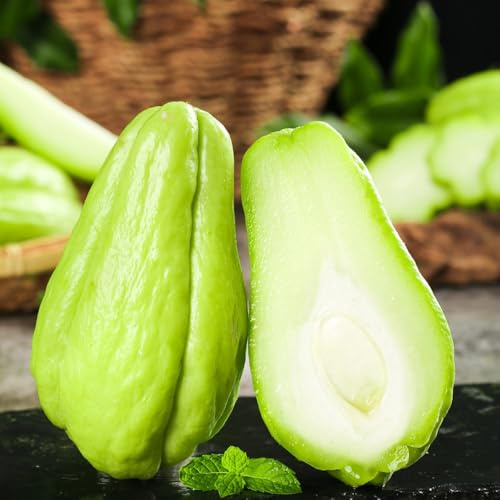 chayote columnar de invierno de balcón resistentes en perennes resistentes jardín semillas silvestres jardín 225pcs