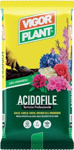 VIGORPLANT Ácido 20