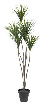 EUROPALMS Yucca Palme, Kunstpflanze, 130cm | Palmlilie aus hochwertigem Kunststoff