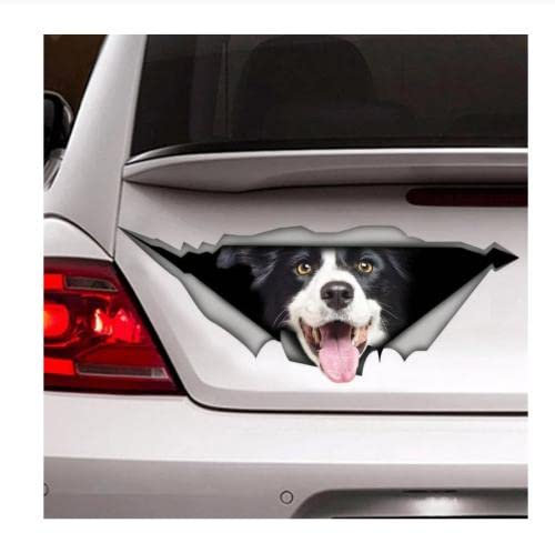 Autoaufkleber Wasserdicht 25Cm(9.84In) Border-Collie-Aufkleber, Auto-Aufkleber, Vinyl-Aufkleber, Haustier-Aufkleber, Hund-Aufkleber, Border-Collie-Auto-Aufkleber(Kf1S28911)