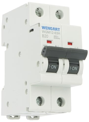 Wengart Disjoncteur Bipolaire 2P - 20A - Courbe B (Haute Sensibilité) - AC 230V - Pouvoir de Coupure 10kA - Idéal pour Informatique, Onduleurs Photovoltaïques et Lignes Longues - WGM12-63H