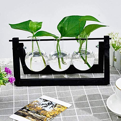 Aquarium-Set, Hydrokultur-Vase mit Glas-Hängevase, Terrarium-Vase für Hydrokultur-Pflanzen, für Zuhause oder Büro (schwarz, 3 Töpfe)
