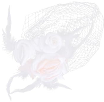 WRITWAA Braut Hochzeit Party Kopfschmuck Corpse Bride Schleier Mesh Gesicht Schleier Stirnband Braut Hochzeit Kurzer Schleier Hochzeit Mesh