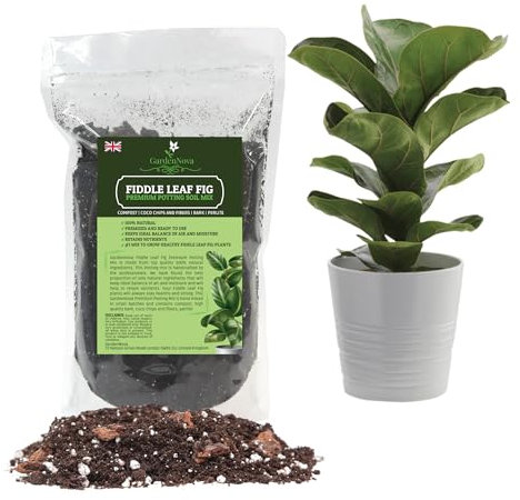 Fiddle Leaf Fig House Plant Soil Premium All Purpose Blend – Premium Compost, Bark, Coco Chips and Fibers, Perlite - 1 Liter Bag