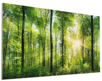 DEQORI Holzdruck auf FSC-zertifiziertem Holz | Motiv Sonne durchbricht Wald | 100x50 cm | UV-Druck in hoher Qualität – stilvolle Wanddeko für Wohnzimmer, Schlafzimmer, Büro & Flur