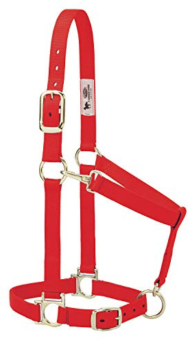 Weaver Leather Halfter aus Nylon, verstellbar, 2,5 cm, Rot | Verstellbares Kinn, Halsverschluss, vermessingte Beschläge für einfache Handhabung und bequeme Passform, Rot