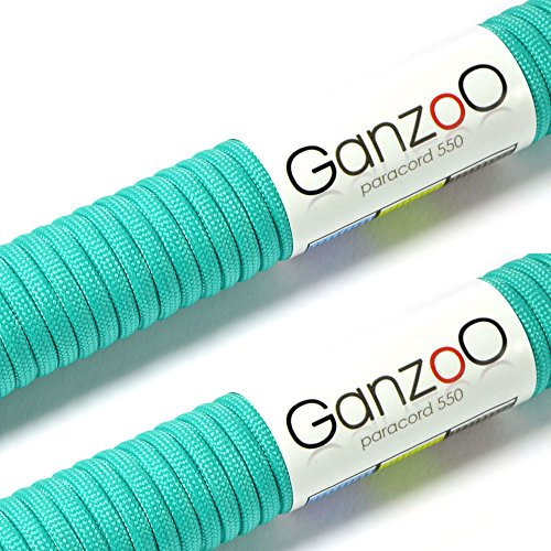 Ganzoo Paracord 550 Seil, 2 x 30 Meter, 4mm, Nylon/Polyester, Typ 3, Outdoor-Schnur, 7 Kernstränge, Allzweckseil, Hundehalsband, Hundeleine, Armband knüpfen, Camping/Survival, türkis