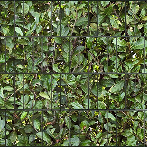 PerfectHD Zaunsichtschutz - Sichtschutz mit Motiv - Sichtschutz Bedruckt - Kirschlorbeer - Polyester Gewebe - 26 m Rolle - 19 cm breit - 32 Motive