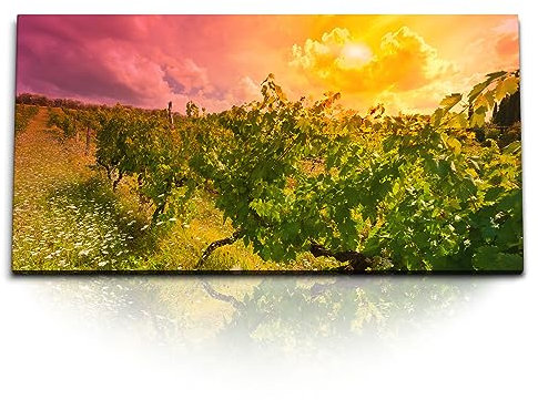 Paul Sinus Kunstdruck Bilder 120x60cm Weinberg Weinanbau Weinrebe Sonnenschein Natur