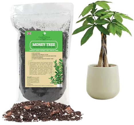 Money Tree Soil Mix for Planting or Repotting Guiana Chestnut, Soil Blended to Properly Grow Money Tree Plants - (1 Liter Bag)