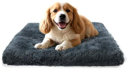 Hundebett für Kleine Hunde 50 × 40 cm Plüsch Hundematte Waschbar Dunkelgrau