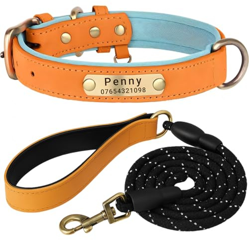 SEOUGEE personalisierbares Hundehalsband aus echtem Leder und Leinen-Set, weich gepolsterte Leder-Hundehalsbänder, strapazierfähig, mit individuell graviertem Namensschild für kleine, mittelgroße und