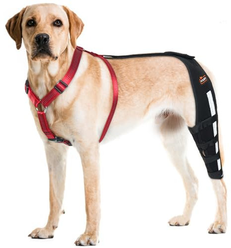 RISURRY Hunde-Kniebandage mit abnehmbarem Hunde-Brustgeschirr zum Luxieren von Patella, gerissener ACL, Arthritis, Kreuzband, Stützbandage für Hunde, Hinterbeinbandage (linkes Bein, groß)