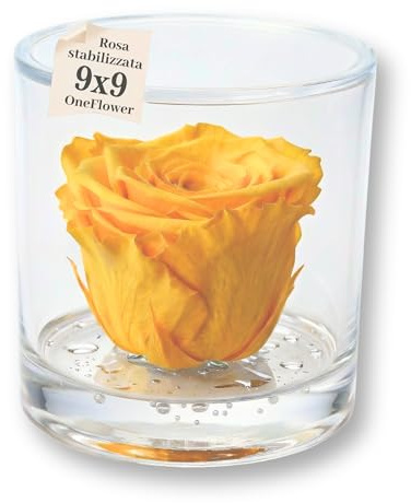 Box tondo con rosa gialla stabilizzata Profumata, in plexiglass trasparente da 9cm con Rosa gialla Vera Eterna | Idea Regalo Mamma, 50 anni, bomboniera | Fatto in Italia (Gialla 1043)