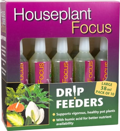 Houseplant Focus Drip Feeders 38ml - 10 box