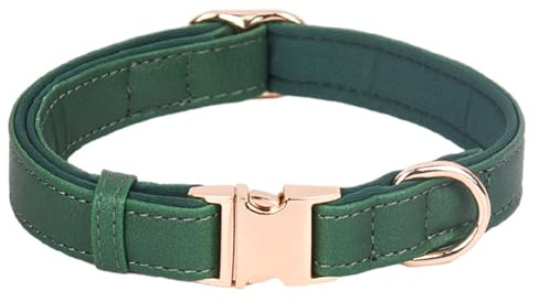 Hundehalsband Mit Leine Hundehalsband aus Leder mit gravierter Metallschnalle, individuell anpassbar, weich gepolstert, reflektierend, für kleine, mittelgroße und große Hunderassen, (Green, M)