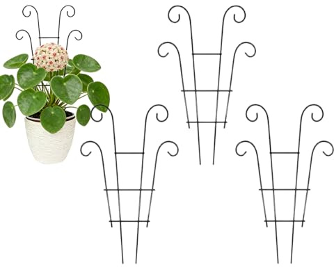 Fenayuu Graticcio Per Piante Da Interno,4 Pezzi Piccoli Pilastri Di Crescita Verticale | 36 Cm Arrampicata Monstera - Per Interno Ufficio Balcone Portico Patio Vasi Monstera Fiori Clematide