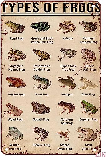 Vintage Metal Wall Art - Types of Frogs, Green & Black Poison Dart Frog, Tin Signs, Funny Signs, Unique Home Decor, Cute Wall Decor, 8x12 in