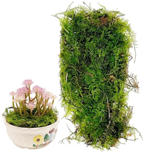 Cayway Touffe d'Herbe Statique Artificielle - Modèle de Mousse Verte pour Le Chemin de Fer de Paysage de Train (Style D)