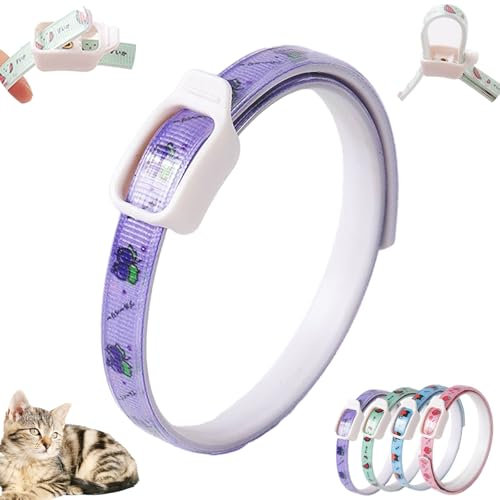 Langzeit Floh & Zeckenschutz Halsband für Hunde - Natürliches Insektenabwehrhalsband, Schützt effektiv gegen Flöhe, Zecken, Milben & Parasiten (Lila, 6x6x1cm)