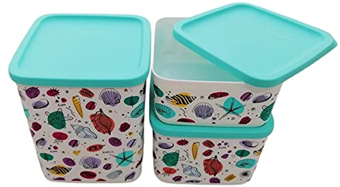 Tupperware Cubix Set (3) 1,8 Liter + 1,0 Liter + 650ml Sommer Muscheln Aufbewahrungsdose Vorratsdose Kaffee Dose
