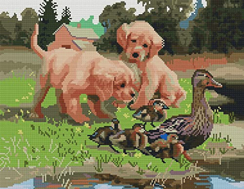 Amiiba Kreuzstich Set Vorgedruckt für Erwachsene Anfänger, Welpen, Hund und Enten 11ct Stickset Stickpackungen