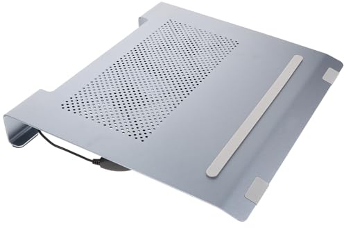 Lurrose Soporte para Portátil de Aleación de Aluminio Gris Ventilador Silencioso Ajustable, Compatible Laptops 17,3 Pulgadas, Base de Enfriamiento Ergonómica para Uso en Oficina y Gaming