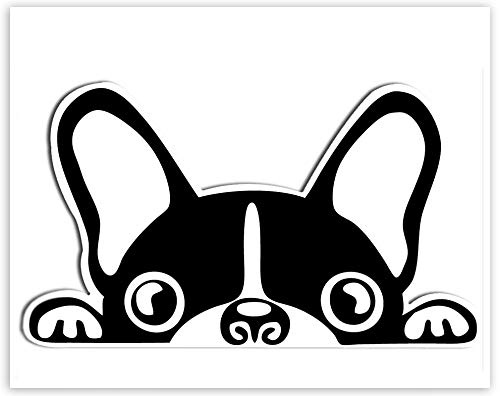 SkinoEu® 1 x Vinyl Aufkleber Autoaufkleber Sticker Dog Hund Französische Bulldogge Auto Moto Motorrad Fahrrad Skate Helm Fenster Spiegel Tür Tuning B 88