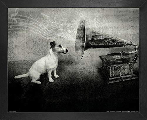 1art1 Hunde Poster Kunstdruck Bild und MDF-Rahmen - His Master's Voice, Jack Russell Terrier (50 x 40cm)