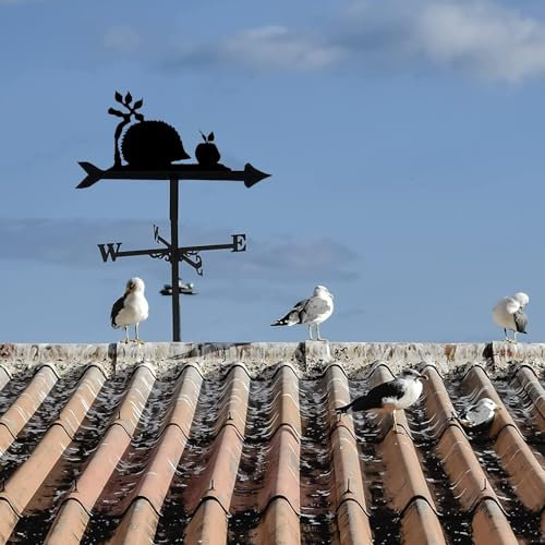Veleta De Viento - Weathervane - Veletas De Viento para Tejado, Veleta con Silueta De Erizo, Decoración del Hogar, Veleta, Soporte De Metal para Césped De Jardín Al Aire Libre
