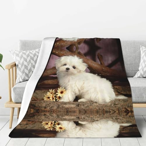 Dnbclezk Niedliche gewichtete Hundedecke, weiche Flanelldecke, personalisierter Druck, Überwurf, Sofadecke, Bettdecke, passend für alle Jahreszeiten