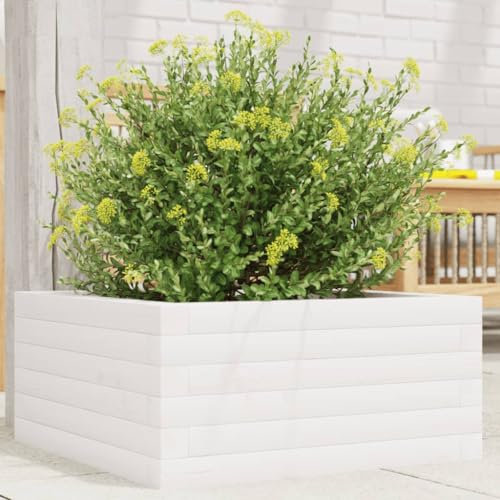 Somanki Pflanzkübel Weiß 50x50x23 cm Massivholz Kiefer, Blumentopf Gross, Blumenkasten Balkon, übertopf, Pflanzkasten, Flowerpot, Kräuterbeet Für Die Küche, Vertikalbeet - 847184