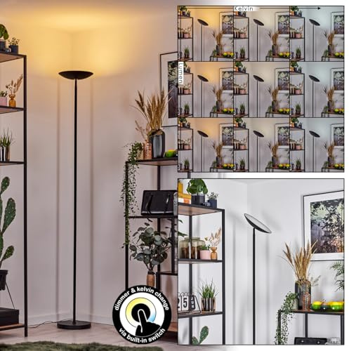 HOFSTEIN Lampadaire Dillingby, à intensité variable au design moderne, Ø 25 cm, hauteur 179,5 cm (réglable) avec variateur tactile, CCT réglable, 15 watts - salon, salle à manger, bureau