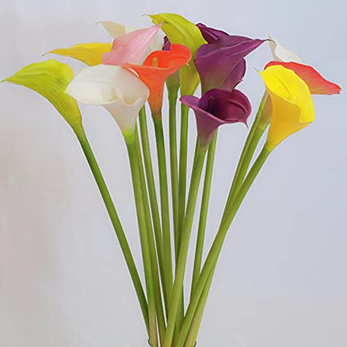 Bienenfreundlich, Winterhart MehrjäHrige, Elegante Calla Lilien, Lange Blütezeit, Calla Lily, Ideale Garten, Gemischte Farben, 8zwiebeln-I