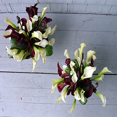 Gemischte Farben, Calla Lily, Ideale Garten, Winterhart MehrjäHrige, Elegante Calla Lilien, Bienenfreundlich, Lange Blütezeit,-6zwiebeln-A