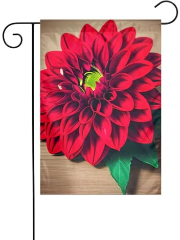 Panneau en bois rétro imprimé fleur dahlia rouge 30,5 x 45,7 cm double face extérieur sapin de Noël drapeau décoratif