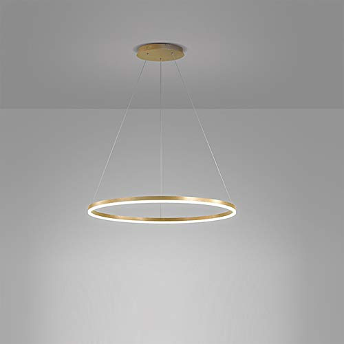 AIRUI 1-Licht Single Circle Pendelleuchte Nordic Modern Ring Lüster Abgehängt Verstellbar LED Hängelampe Für Wohnzimmer Schlafzimmer Esszimmer,Gold+Neutral Light-40CM 25W
