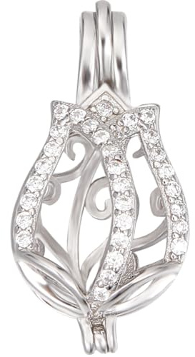Beebeecraft 1 boîte de 1 Breloques Cage en Argent Sterling avec Perles en Zircone Cubique et Pendentif en Forme de Fleur de Pierres Précieuses Serties de Médaillons Faits à la Main