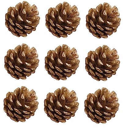 Alipis 9stücke Tannenzapfen-Dekoration für Weihnachten mit Schnur Tannenzapfen für Christbaumschmuck Heimdekoration Bastelbedarf Gold
