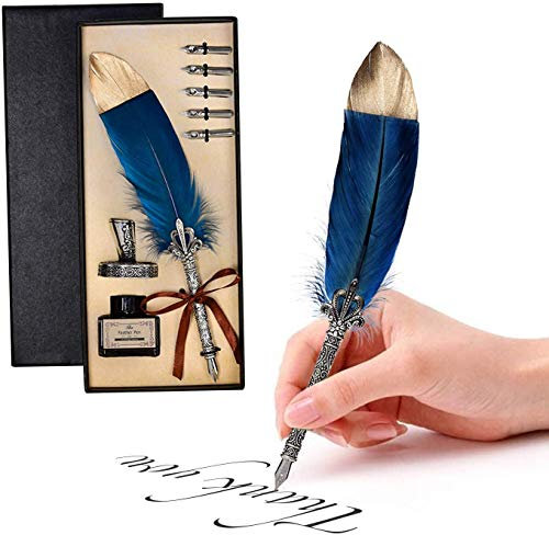 Quill Pen Feder Stift Tinte Stift Feder Kalligraphie Stift Set Schreibkiel Stift mit 5 Edelstahlfedern in verschiedenen Größen, Geschenk für Geburtstag Weihnachten (keine Tinte)