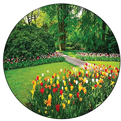Round Edge Closing Tablecloth, Country Decor Elastic Edged Tablecloth, Garden with Tulip Flowers and Trees Springtime in Keukenhof, Fit Round Tables 61inch, Buffet Table, Parties, Holiday Dinner