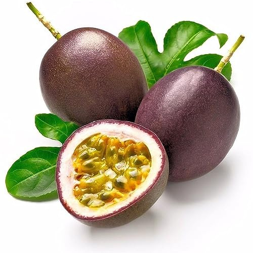 40Pcs Tropical Exotic Vine Passion Purples Passiflora Edulis Semi di piante da frutto per piantare giardini