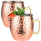 ieron Tazas de cobre Moscow Mule de 18 onzas (juego de 2) tazas de cobre martillado, tazas de cobre seguras para alimentos, taza de ginebra de 501 ml, perfectas para beber y regalar en fiestas